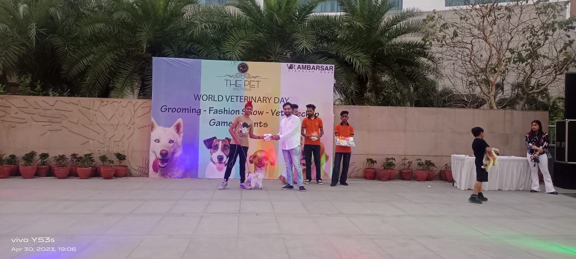 World Veterinary Day