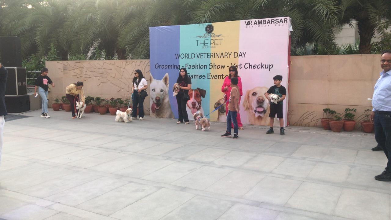World Veterinary Day