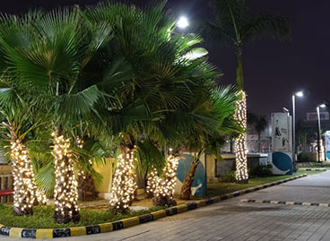 Christmas Decor