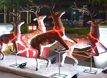 Christmas Decor