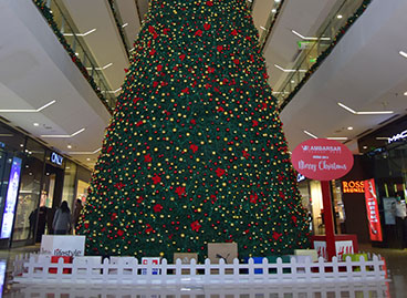 Christmas Decor